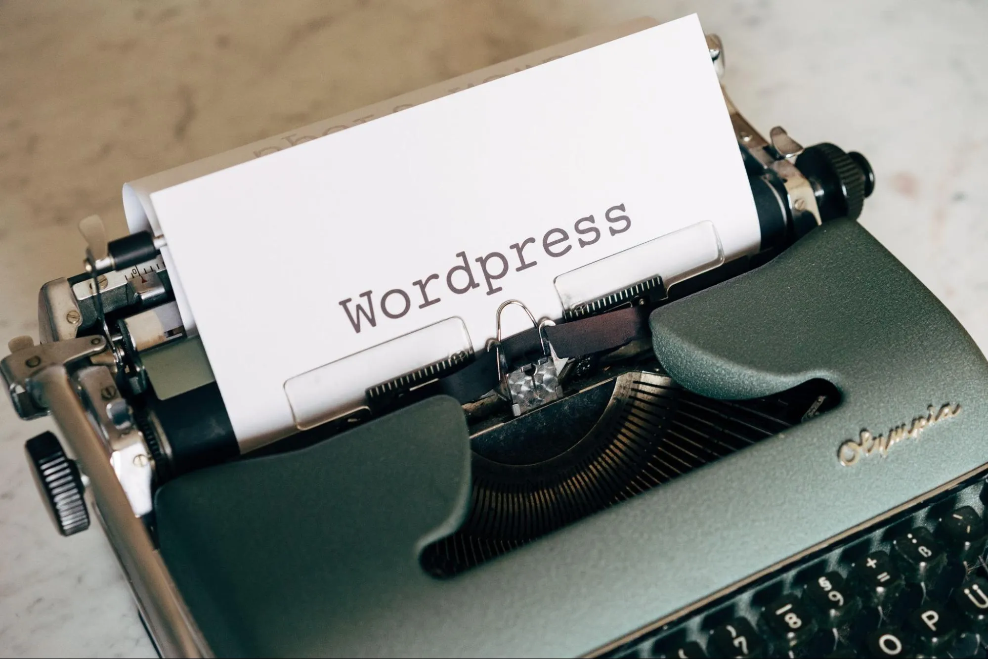 What Are the Best WordPress Management Services?