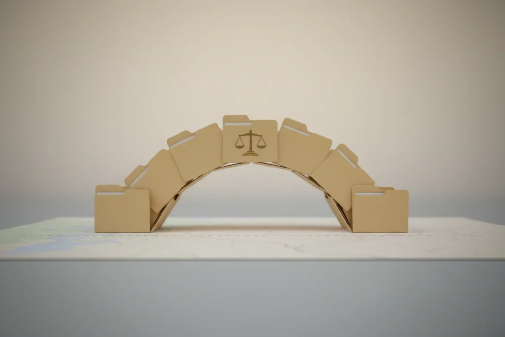 Mobilizing Pro Bono Counsel for High-Stakes Migrant Rights Cases